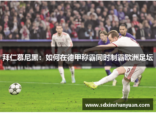 拜仁慕尼黑：如何在德甲称霸同时制霸欧洲足坛